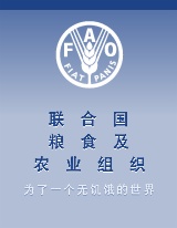 聯(lián)合國糧農組織對木質包裝作出新規(guī)定